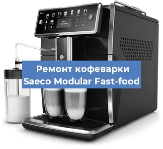 Декальцинация   кофемашины Saeco Modular Fast-food в Ростове-на-Дону